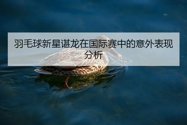 羽毛球新星谌龙在国际赛中的意外表现分析