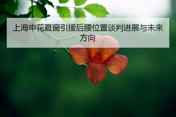 shang-hai-shen-hua-xia-chuang-yin-yuan-hou-yao-wei-zhi-tan-pan-jin-zhan-yu-wei-lai-fang-xiang-2-593.jpg