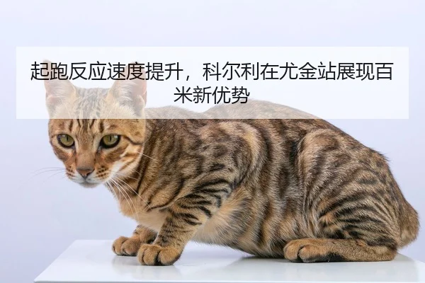 qi-pao-fan-ying-su-du-ti-sheng-ke-er-li-zai-you-jin-zhan-zhan-xian-bai-mi-xin-you-shi-2-801.jpg