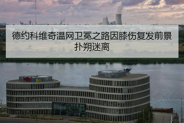 de-yue-ke-wei-qi-wen-wang-wei-mian-zhi-lu-yin-xi-shang-fu-fa-qian-jing-pu-shuo-mi-li-2-752.jpg