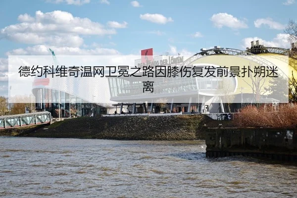 de-yue-ke-wei-qi-wen-wang-wei-mian-zhi-lu-yin-xi-shang-fu-fa-qian-jing-pu-shuo-mi-li-3-720.jpg