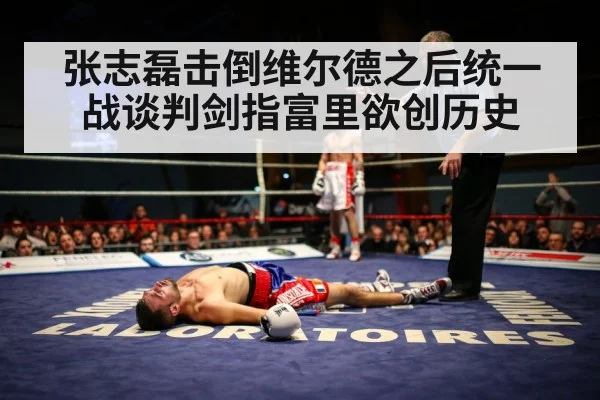 张志磊击倒维尔德之后统一战谈判剑指富里欲创历史